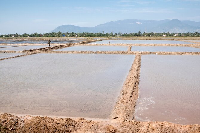 Half-Day Adventure to the Pepper Farm by Scooter - Why this scooter ride gets you beyond central Kampot