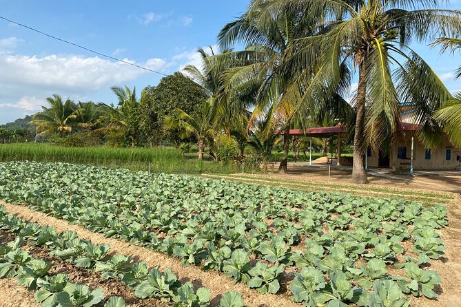 Half-Day Adventure to the Pepper Farm by Scooter - Secret Lake and a difficult chapter of Cambodian history
