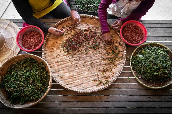Half-Day Adventure to the Pepper Farm by Scooter - Salt farms and the work behind Kampot’s exports