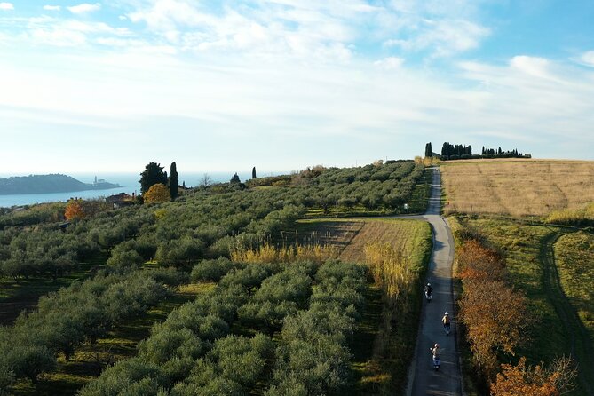 Half Day Vespa Countryside Tour and Tastings in Istria - A local konoba lunch with room for dietary needs