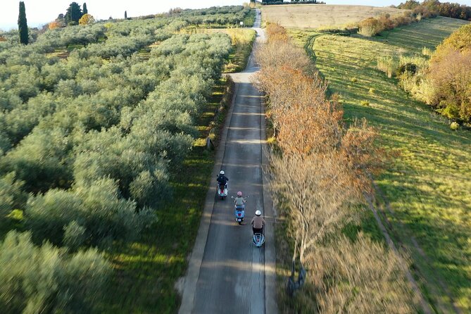 Half Day Vespa Countryside Tour and Tastings in Istria - Padna, olive groves, and an olive oil tasting