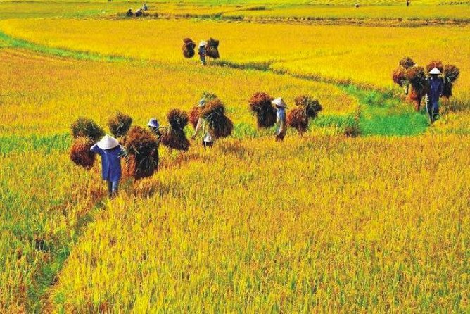 Hanoi Vespa Countryside Tour With Female Ao Dai Riders Half Day - Safety, comfort, and riding with a female guide