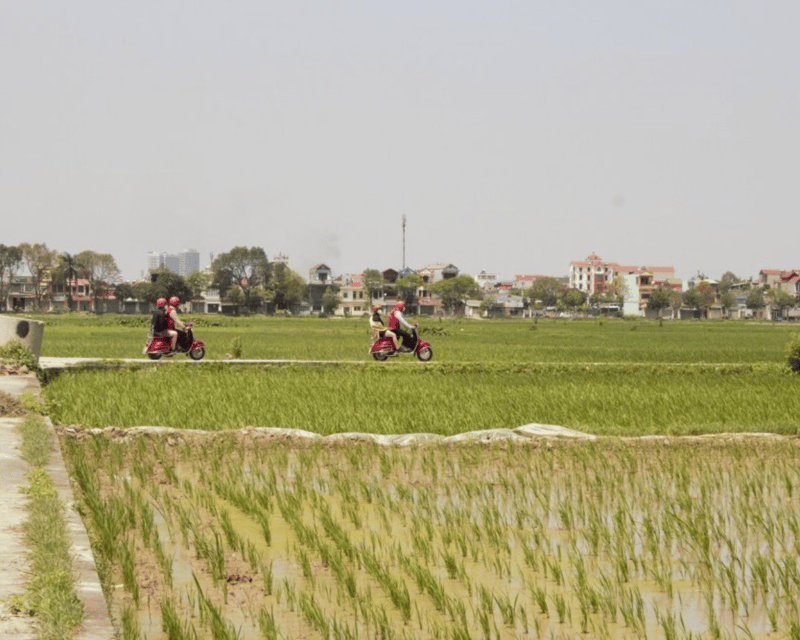 Hanoi Vintage Vespa Tours: A Half-Day Countryside Adventure - Who should book this countryside Vespa tour?