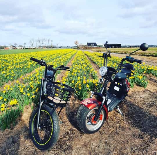 Hillegom: E-Scooter or E-Bike Rental in the Bulb Region - Key points for planning your ride