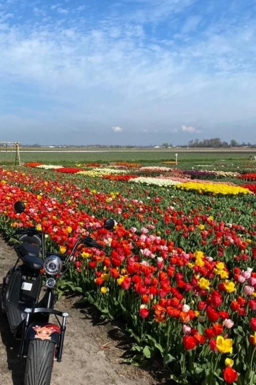 Hillegom: E-Scooter or E-Bike Rental in the Bulb Region - Setting out from Hillegom near the train station