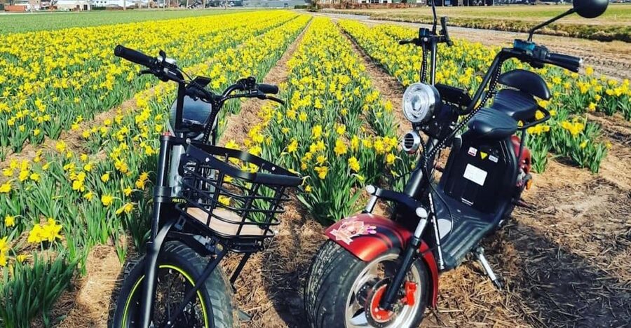 Hillegom: E-Scooter or E-Bike Rental in the Bulb Region - Why an electric ride works well in the bulb region
