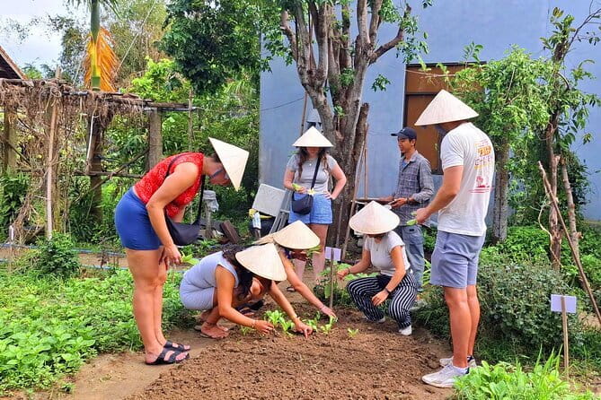 Hoi An Cooking Class & Vespa Cooking Adventure Tour - The three-dish cooking class