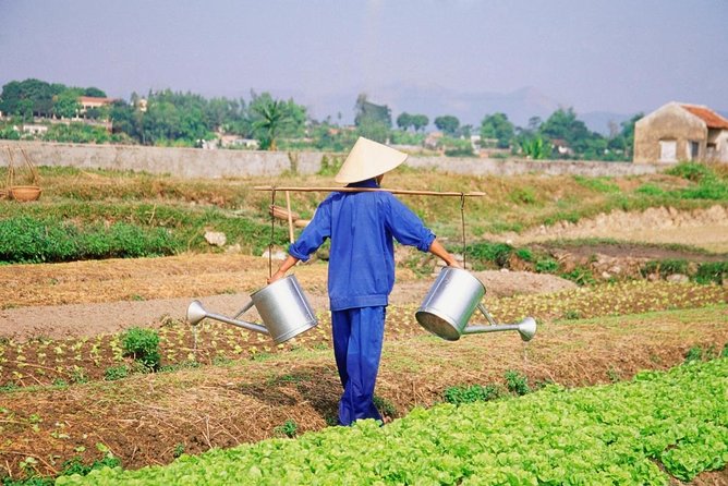 Hoi An Countryside Tour By Scooter With Lady Bikers - Key points to know before booking