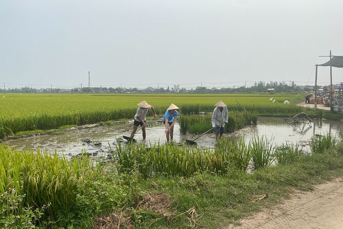 Hoi An Countryside Vespa Tour: Food, Culture & Daily Life - Lunch at a local restaurant