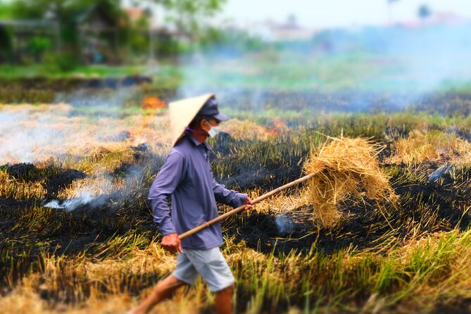 Hoi An Countryside Vespa Tour: Food, Culture & Daily Life - Who will get the most from this tour