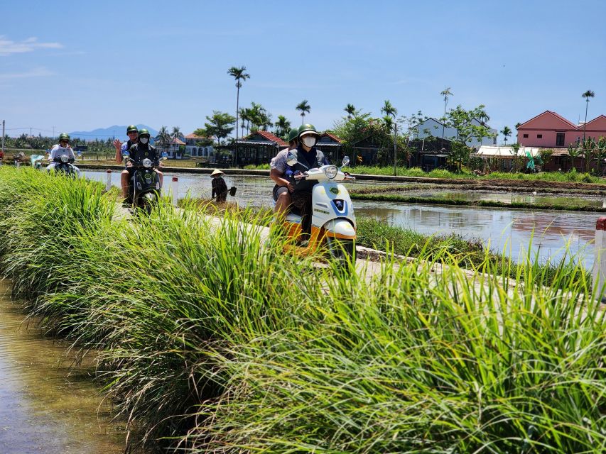 Hoi An Highlights and Hidden Gems Tour by Vespa - How safe and comfortable is the Vespa ride?
