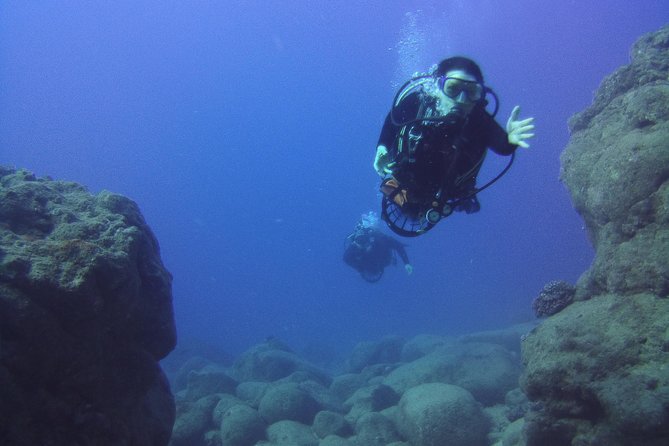 Kauai's Ultimate Scooter Adventure 2 Tank Dive (Advance Certified Divers Only) - Marine life, water temperature, and comfort