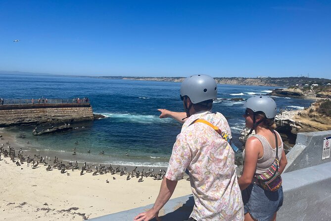 La Jolla E-Scooter Tour with Photos Included - Windansea Beach and the local surf scene