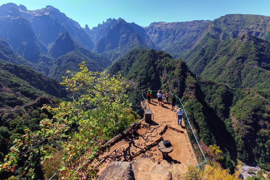 Madeira: Private Guided Vespa Tour Mountains (7hrs) - What is included, and what you should bring