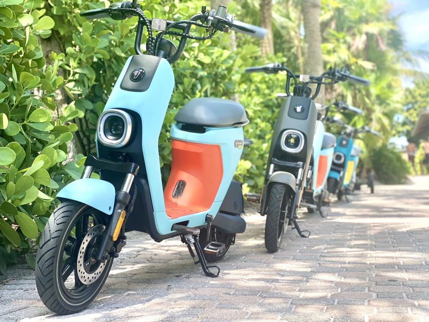 Naples, Florida - Segway Electric Moped Tour - Family Fun - Naples Bay and Crayton Cove