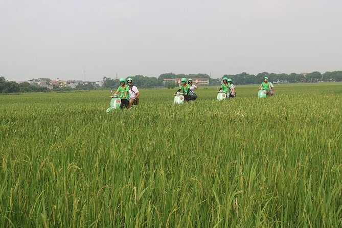 Ninh Binh Vespa Start from Hanoi + Boat + Villages +Rice Paddies - Drifting through the three Tam Coc caves