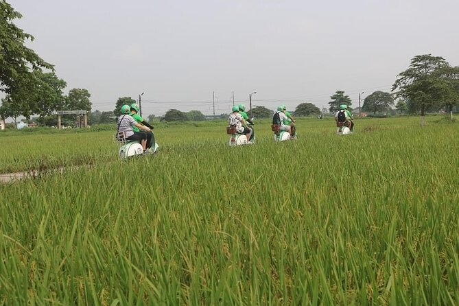 Ninh Binh Vespa Start from Hanoi + Boat + Villages +Rice Paddies - The main drawbacks to consider