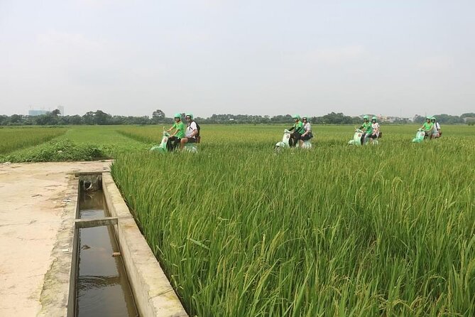 Ninh Binh Vespa Start from Hanoi + Boat + Villages +Rice Paddies - Riding through Tam Coc villages and rice paddies