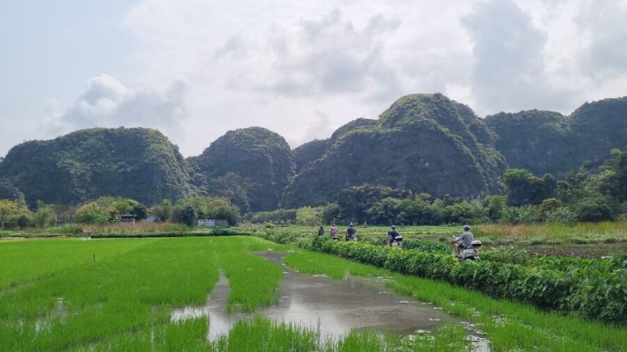 Ninh Binh Vespa Tours from Hanoi: Vespa + Boat + Daily Life - Why the 7 AM start matters