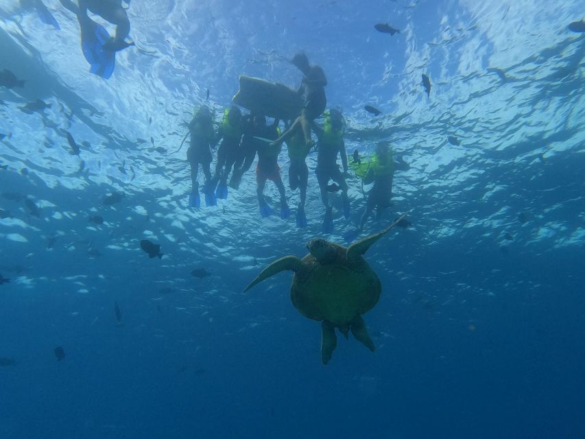 Oahu Snorkeling with Turtles, Water Scooter, Paddleboard - Key points to know before booking