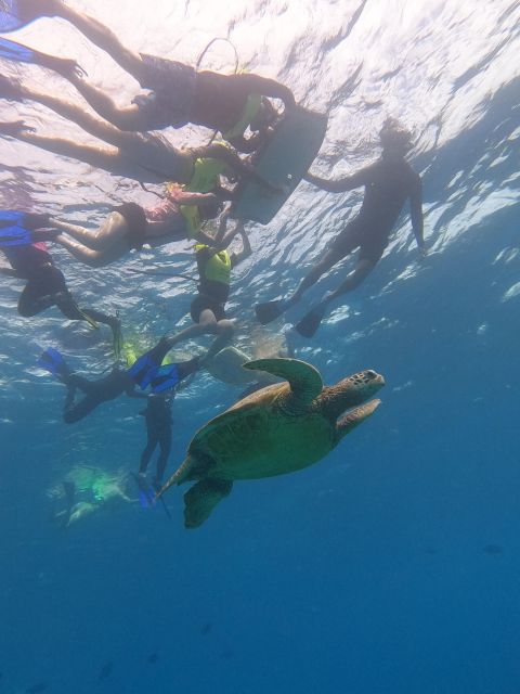Oahu Snorkeling with Turtles, Water Scooter, Paddleboard - Paddleboarding adds variety, with one important caveat