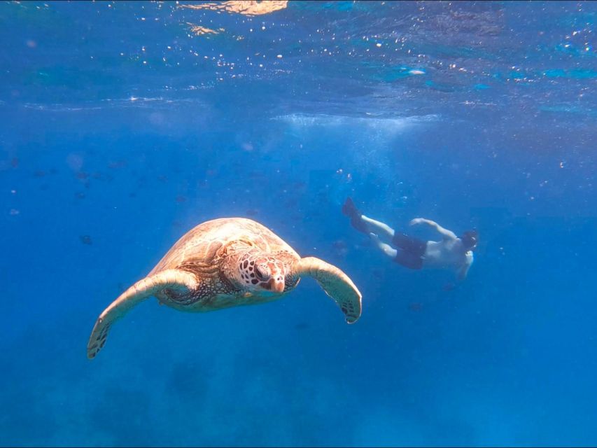 Oahu Snorkeling with Turtles, Water Scooter, Paddleboard - How the $120 price measures up