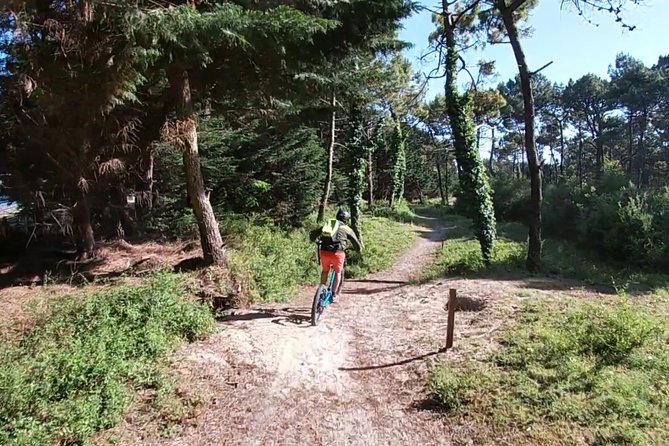 Off-road electric scooter-2h30 guided by GPS- "Carnac" - What the private format adds to the price