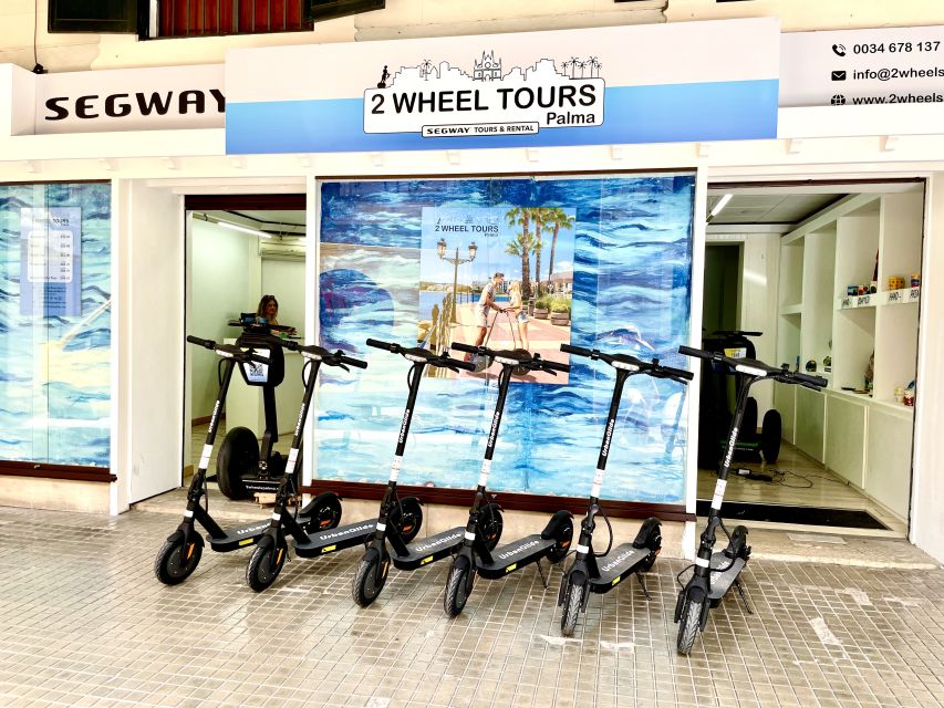 Palma: Guided 1.5 H city tour on Electric scooter - Parc de la Mar, La Seu, and the Royal Palace