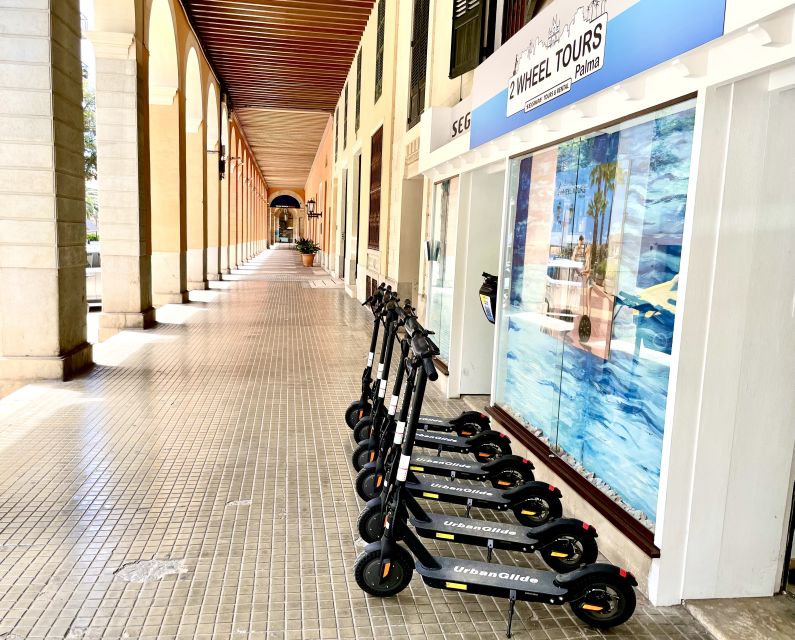 Palma: Guided 1.5 H city tour on Electric scooter - Price, group size, and overall value