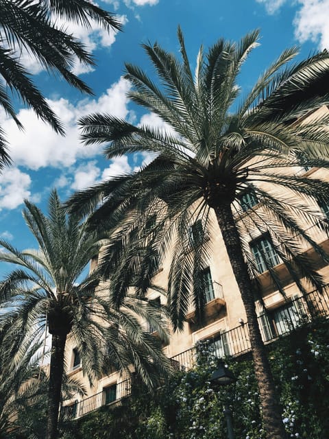 Palma: "History & Beauty" Eco-Friendly E-Scooter Tour - Why an electric scooter makes sense in Palma