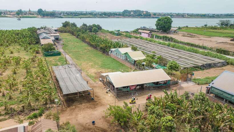 Phnom Penh: Silk Island Tour by Vespa with Tuk Tuk Available - Mongkol Serey Temple and a first look at Buddhism