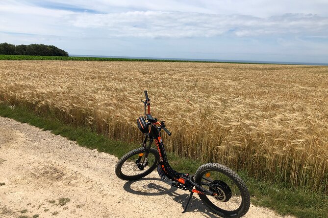 "Pleasure" ride on an all-terrain electric scooter - How the price compares with the experience