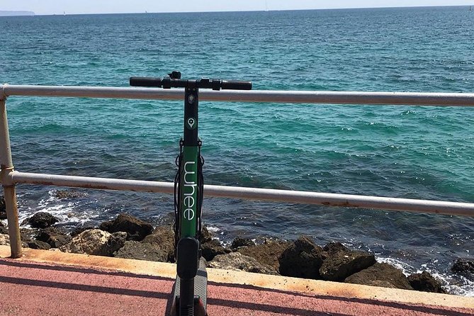 Premium electric Scooter rental with optional delivery - Who will get the most from this experience?