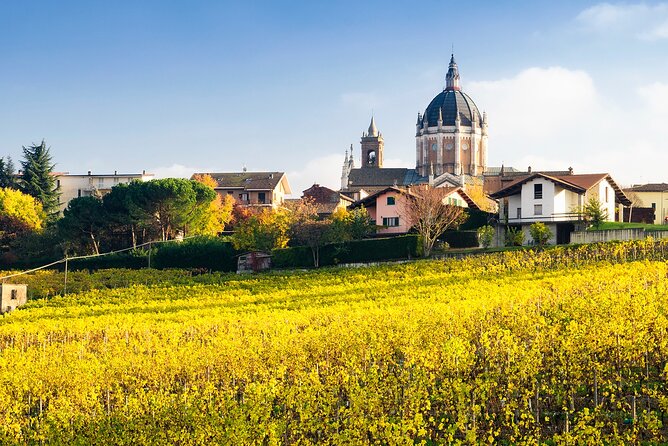 Private Vespa Tour "Among the hills of Barolo and Barbaresco" - Why a Vespa works so well in Barolo country