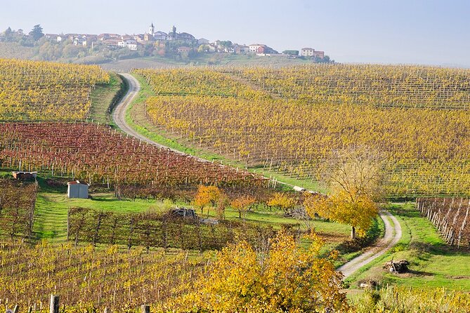 Private Vespa Tour "Among the hills of Barolo and Barbaresco" - Cost, rental details, and what you really pay