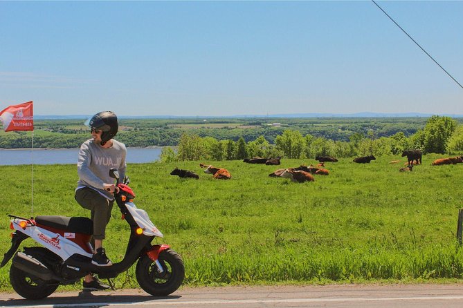 Quebec City - Scooter Rental on Ile d'Orléans - Who should book this scooter outing?