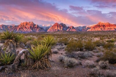Red Rock Canyon Scooter Tour from Las Vegas