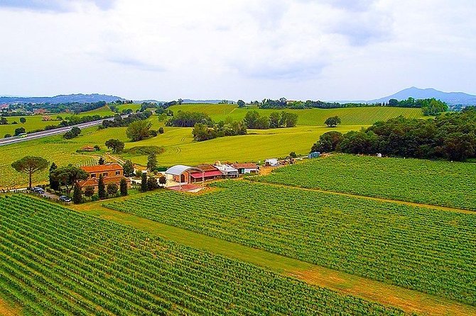 Romantic Vespa Tour and Wine Tasting - Montepulciano and Pienza by Vespa