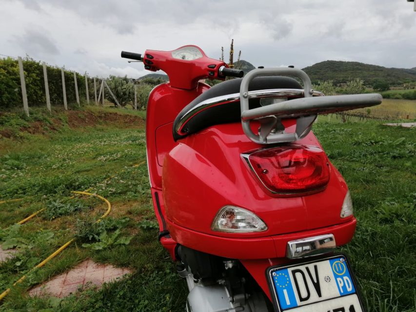 Rome: City Highlights Vespa Tour with Driver - From grand piazzas to narrow Roman lanes