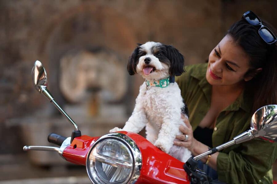 Rome: Guided Vespa Experience with Professional Photoshoot - Fontana dell’Acqua Paola and Terrazza del Gianicolo