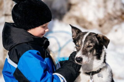 Rovaniemi: Snow Tour with Huskies, Reindeer, & Mini Scooters