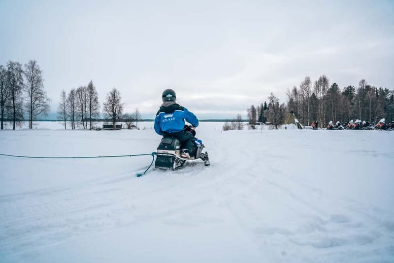 Rovaniemi: Snow Tour with Huskies, Reindeer, & Mini Scooters - Meeting the reindeer