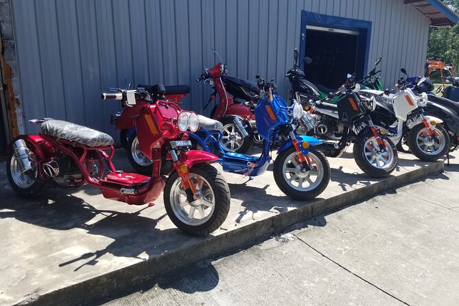 Savannah Scooter and Trike Rental with Helmet - Is $65 a good value?