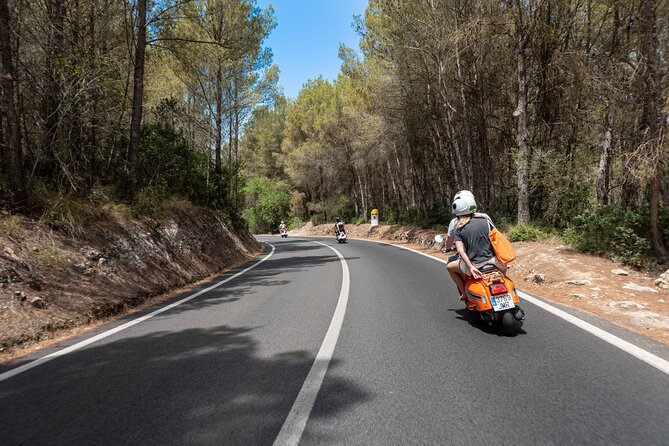Scooter and Motorbike Rental to Explore Mallorca - Choosing between the 50cc and 125cc scooters