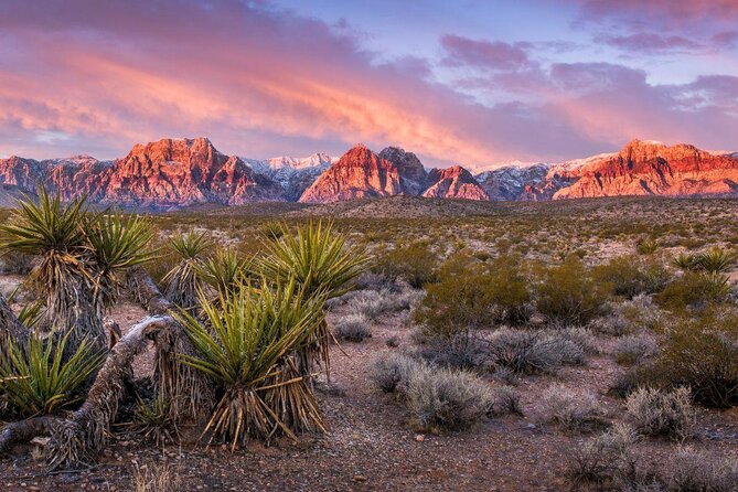Scooter Car Tour of Red Rock Canyon with Transport from Las Vegas - Key points to know before you book