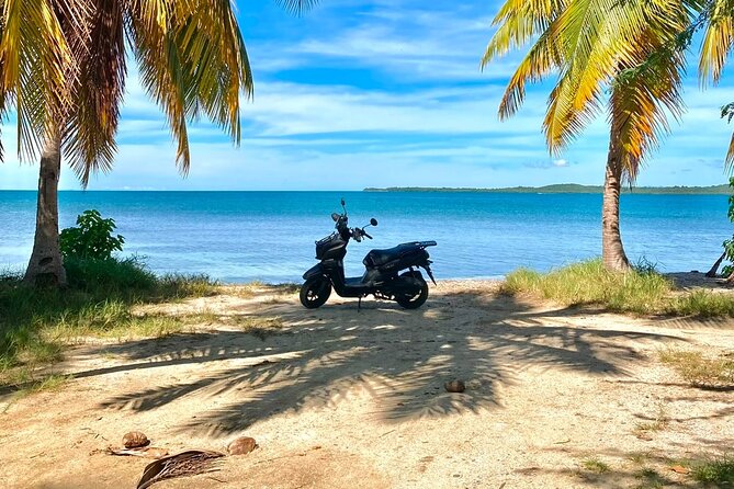 Scooter Rental San Juan Puerto Rico - Quiet sand at Playa Vacía Talega