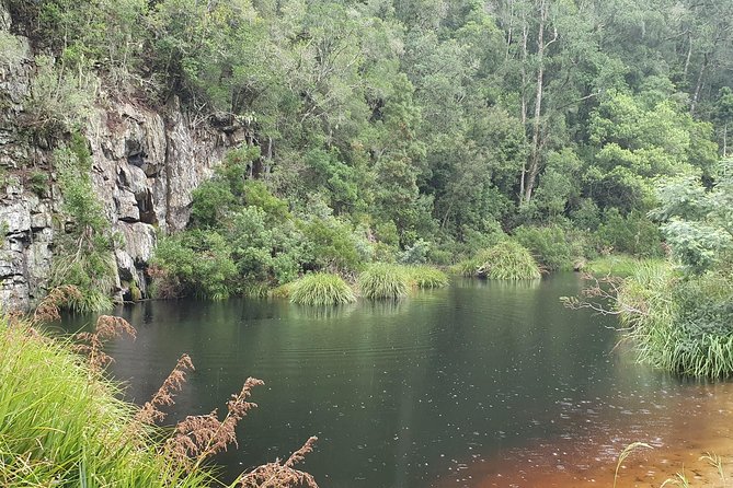 Scooter Tours through Tsitsikamma National Park - How much the $54.64 price gets you