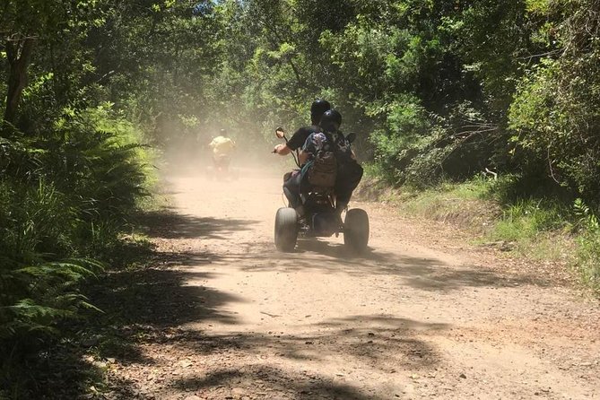 Scooter Tours through Tsitsikamma National Park - Timing, weather, and cancellation concerns