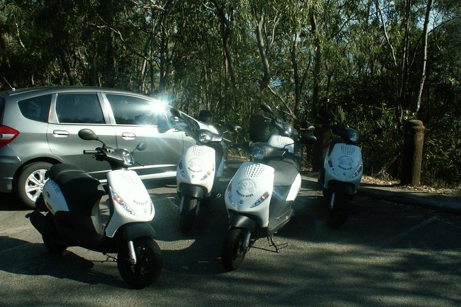 Scooter Wildlife & Sunset Tour - Beaches, views and the evening light