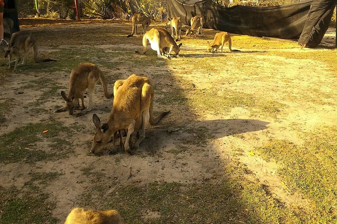 Scooter Wildlife & Sunset Tour - Is $70.46 good value?